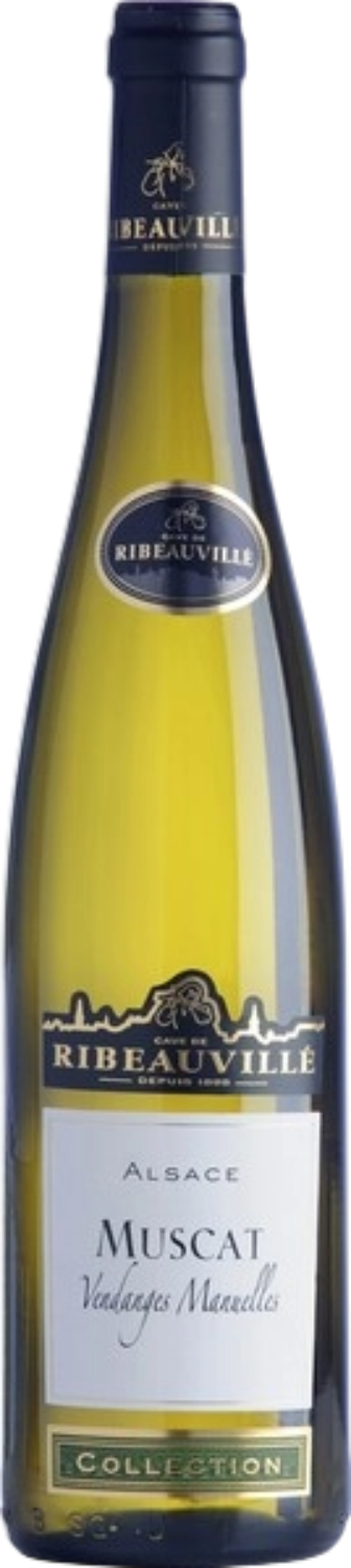 Мускат Эльзас AOC Кав де Рибовиль 0.75 л