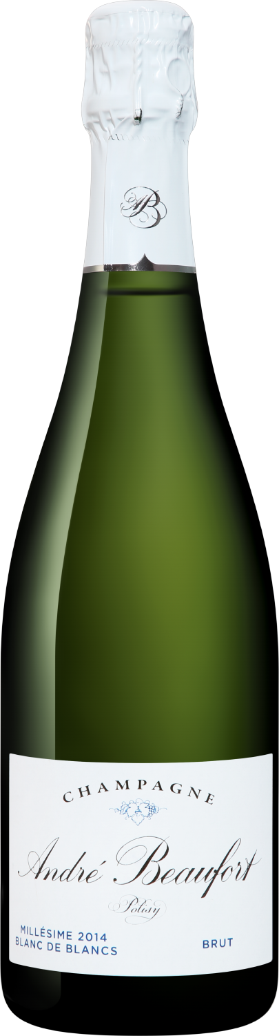 Игристое вино и шампанское Andre Beaufort Polisy Blanc de Blancs Millesime Champagne AOC Andre Beaufort Polisy Blanc de Blancs Millesime Champagne AOC