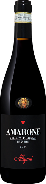 Amarone della Valpolicella DOCG Classico Allegrini, 0.75 л в Санкт-Петербурге